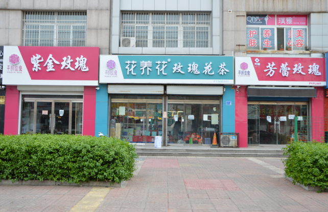 平阴招聘_快 平阴县事业单位公开招聘报名人数大公开