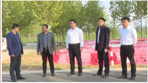 济南市平阴县政府 领导活动 县领导赵鹏带队到锦水街道调研沿黄农业